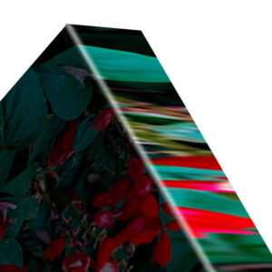 1.5“ (Standard)